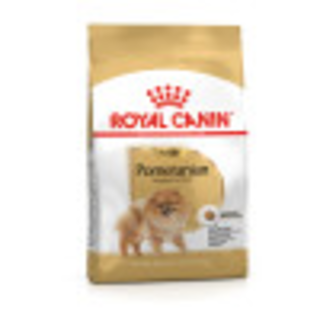 Pomeranian